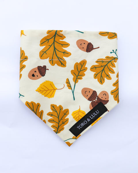 'Autumn' Bandana