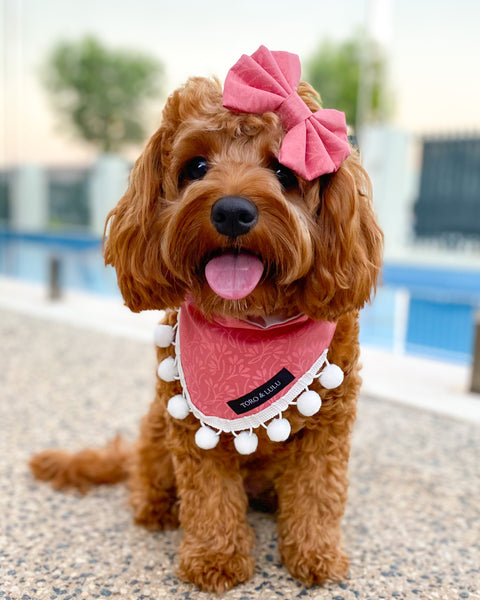 'Luna' Bandana