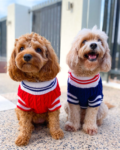 Sailor Sweaters