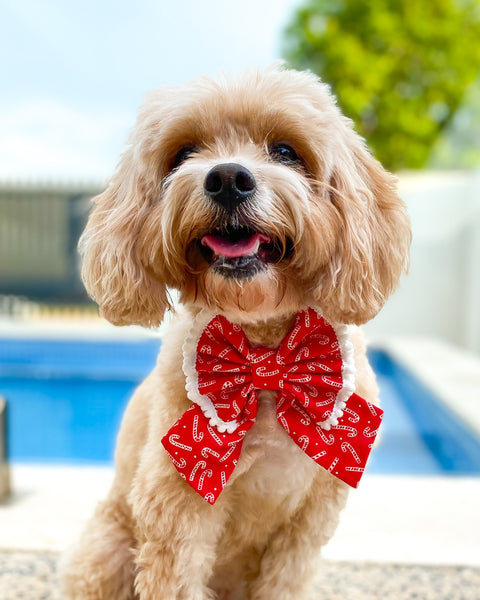 Candy Cane Sailor Bow