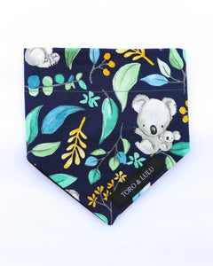 'Koala' Bandana