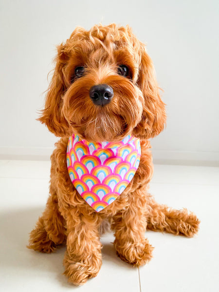 'Over the Rainbow' Bandana