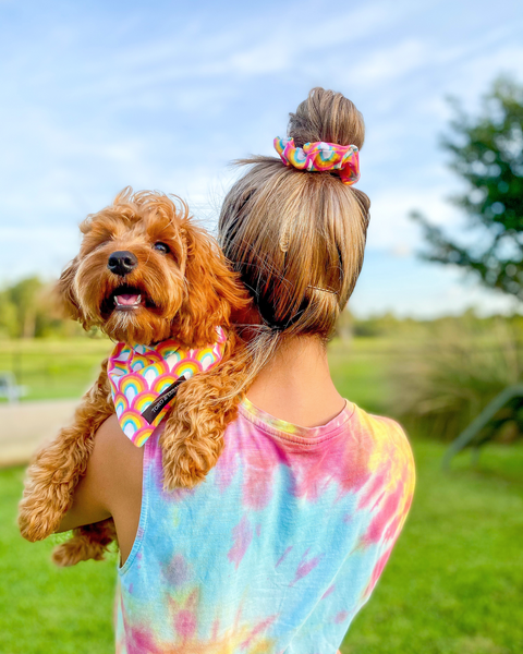 'Over the Rainbow' Bandana