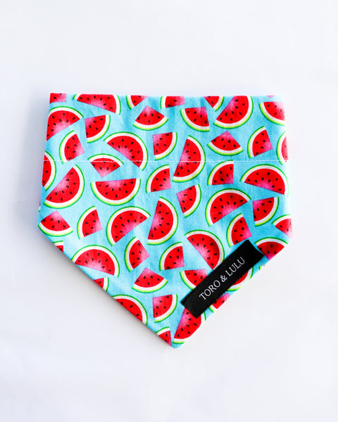 'Watermelon' Bandana