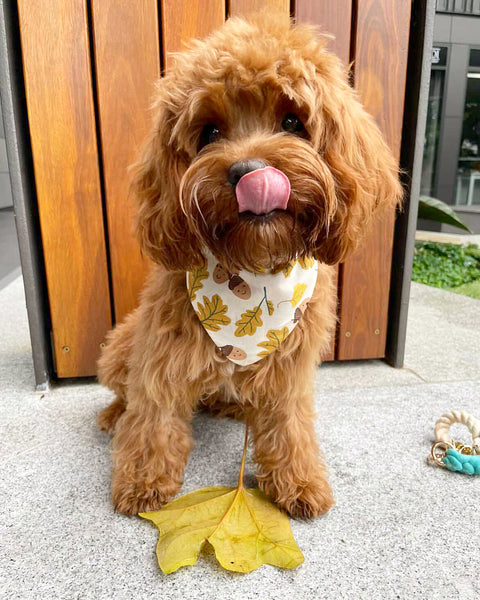 'Autumn' Bandana