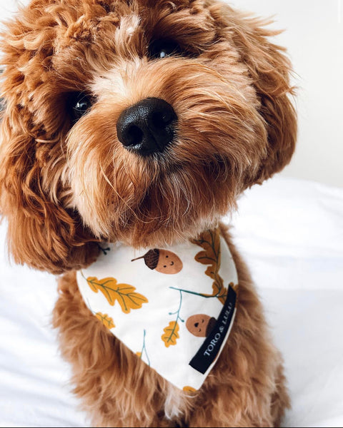 'Autumn' Bandana